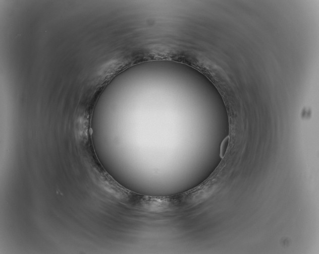 X0000097620768200803071510