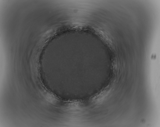 X0000097620769200803071509