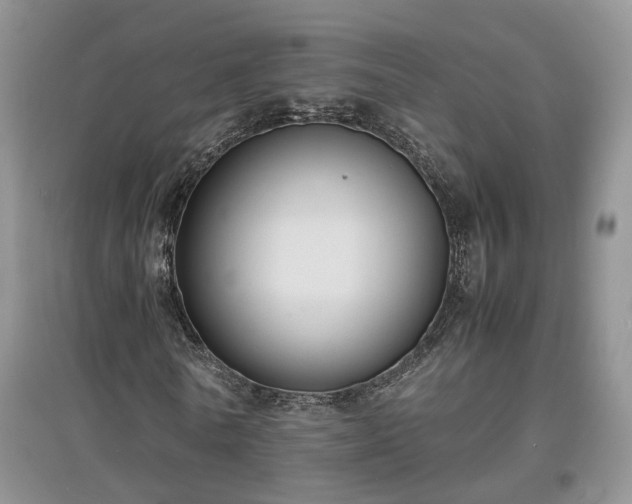 X0000097620770200803071509
