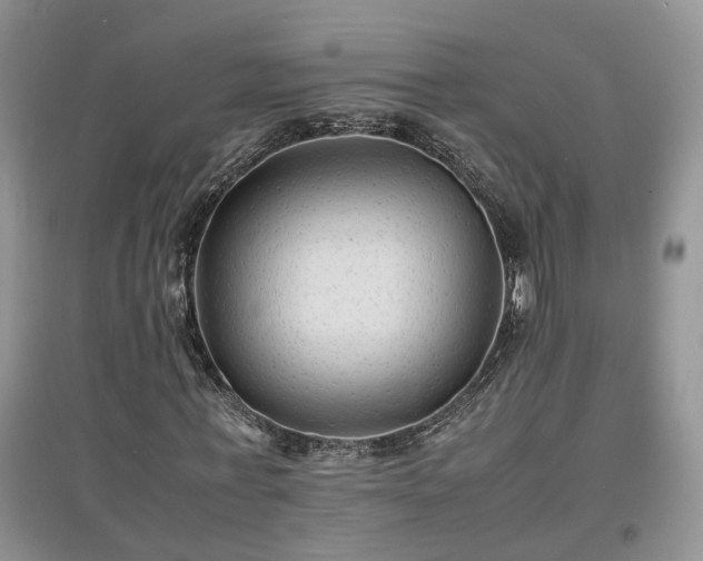 X0000097620771200803071509