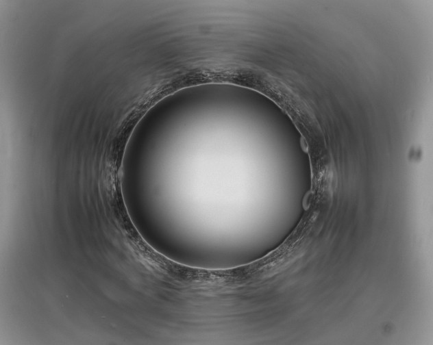 X0000097620772200803071509
