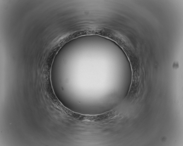 X0000097620773200803071509