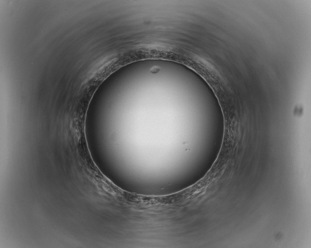 X0000097620774200803071509