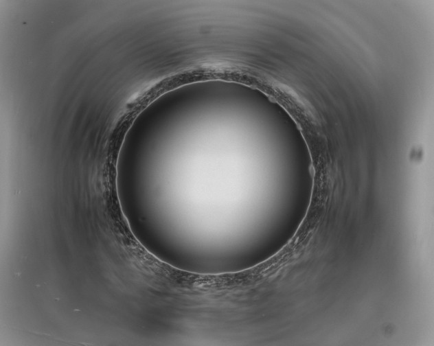 X0000097620776200803071509