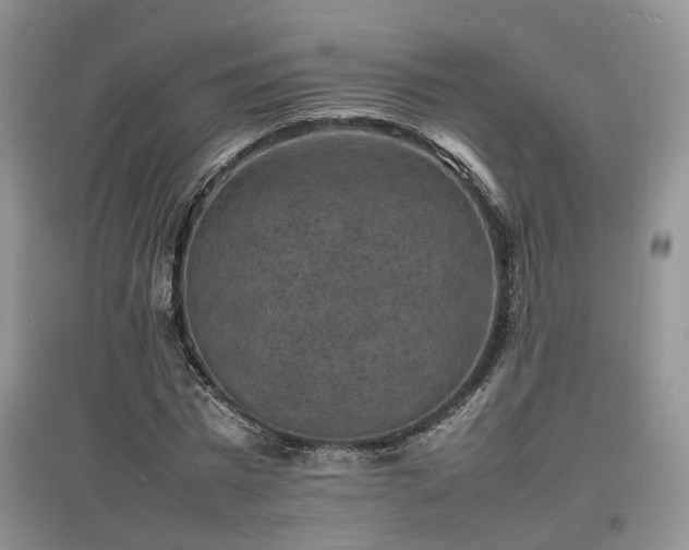 X0000097620777200803071509