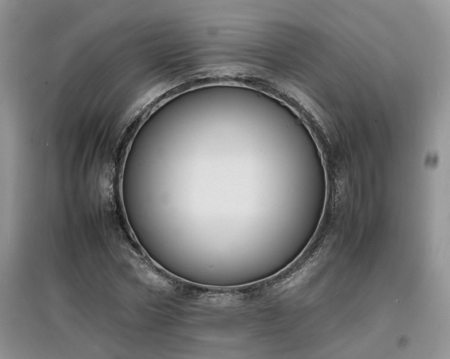 X0000097620778200803071509