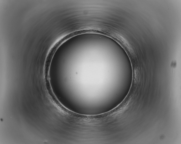 X0000097620780200803071509