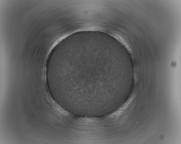 X0000097620781200803071509