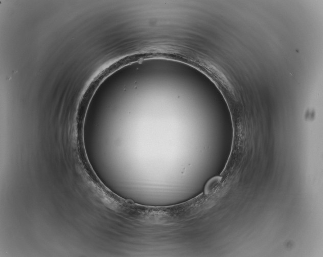 X0000097620784200803071509