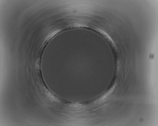 X0000097620785200803071509