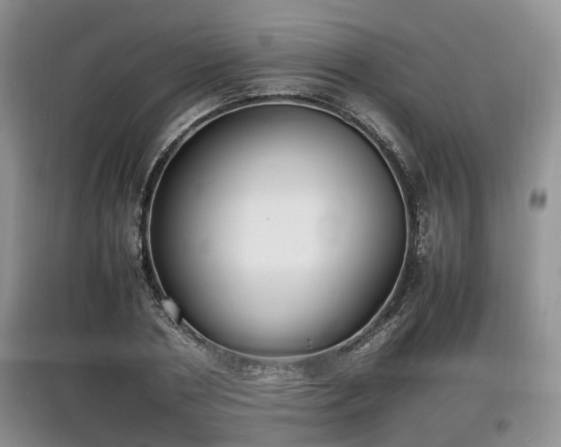 X0000097620786200803071509