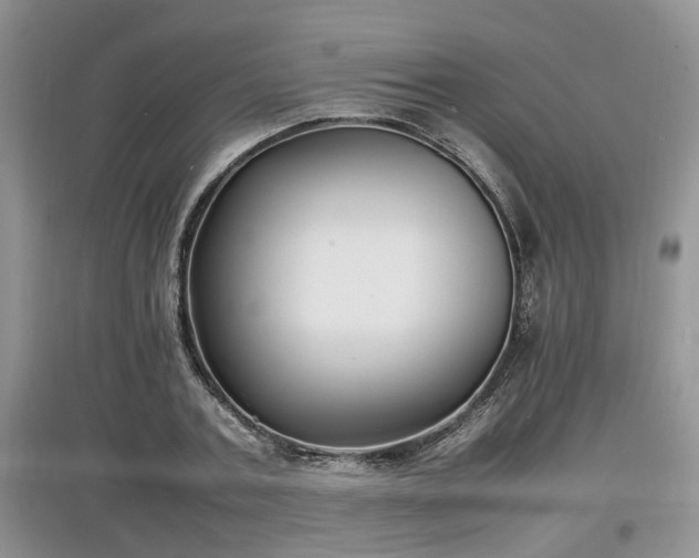 X0000097620787200803071509