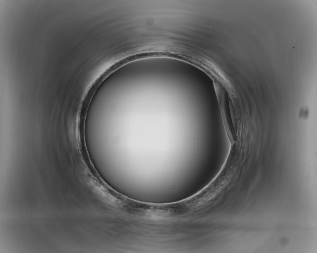 X0000097620788200803071509