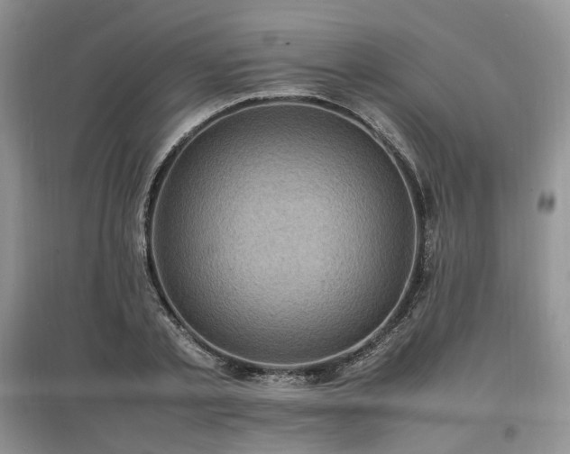 X0000097620789200803071509