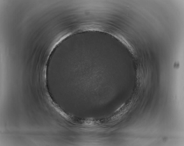 X0000097620790200803071509