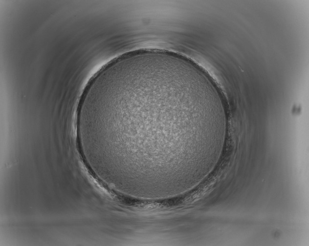X0000097620791200803071509