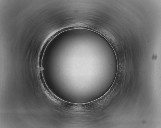 X0000097620792200803071509
