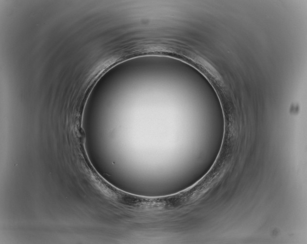 X0000097620793200803071509