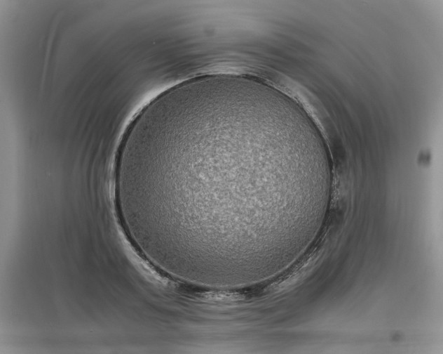 X0000097620795200803071509