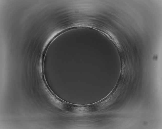 X0000097620796200803071509