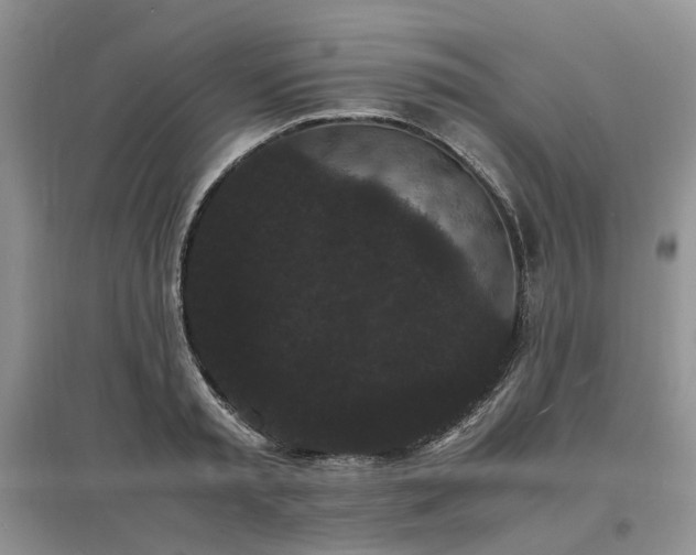 X0000097620797200803071509