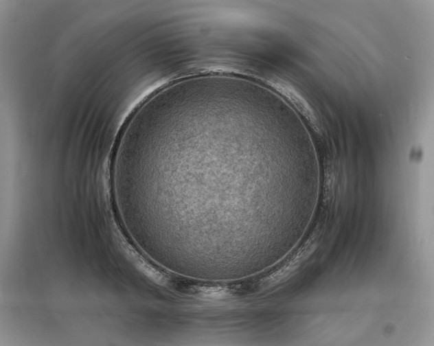 X0000097620798200803071509