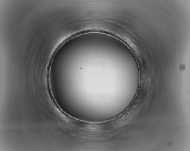 X0000097620799200803071509