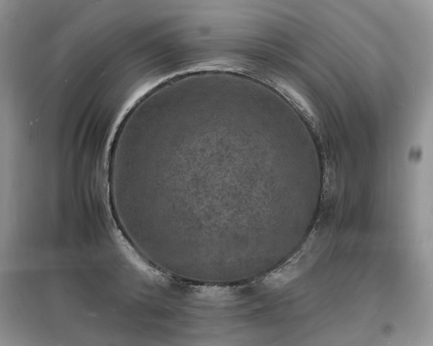 X0000097620800200803071509