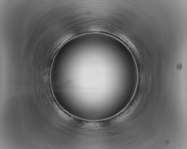 X0000097620801200803071509