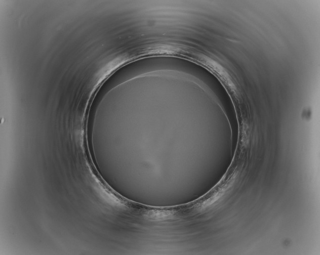 X0000097620802200803071509