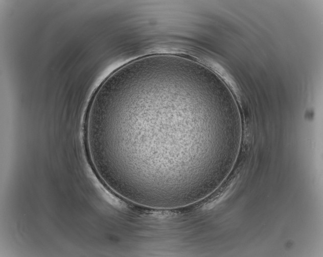 X0000097620803200803071509