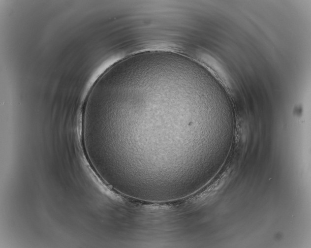 X0000097620804200803071509