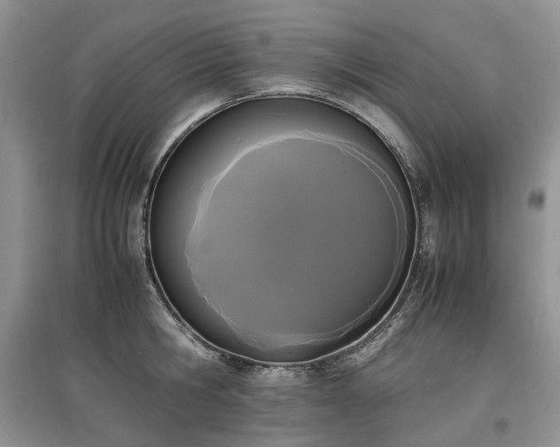 X0000097620806200803071509
