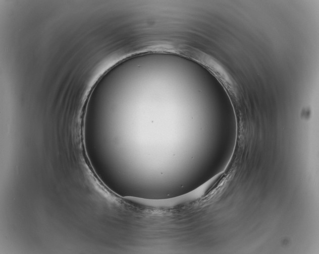 X0000097620808200803071509