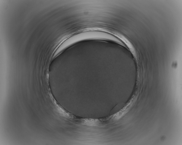 X0000097620809200803071509
