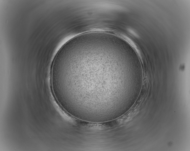 X0000097620811200803071509
