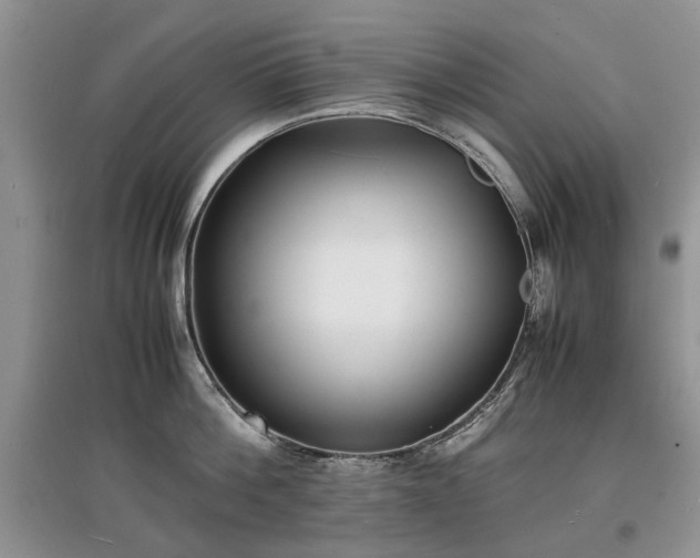 X0000097620812200803071509