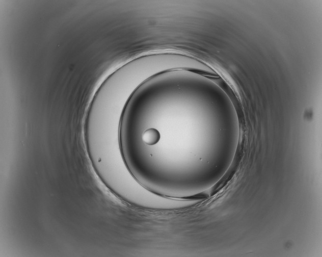 X0000097620813200803071509