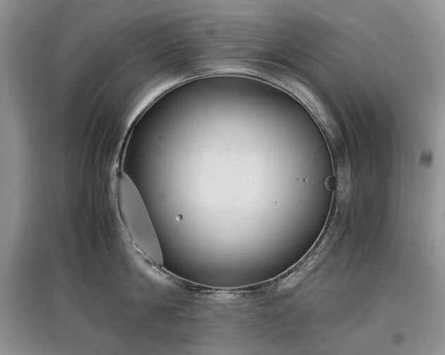 X0000097620814200803071509