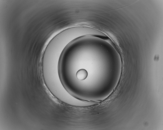 X0000097620816200803071509