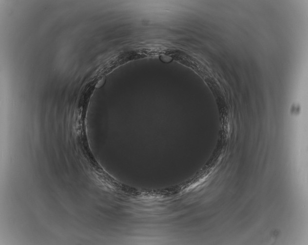 X0000097620818200803071508