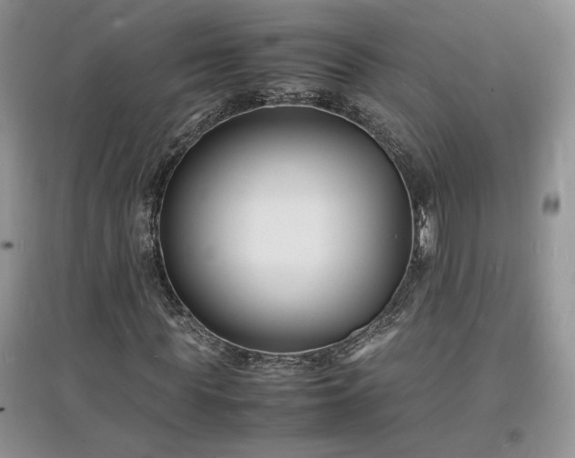 X0000097620819200803071508