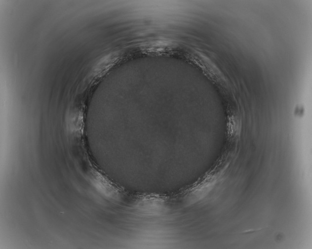 X0000097620820200803071508