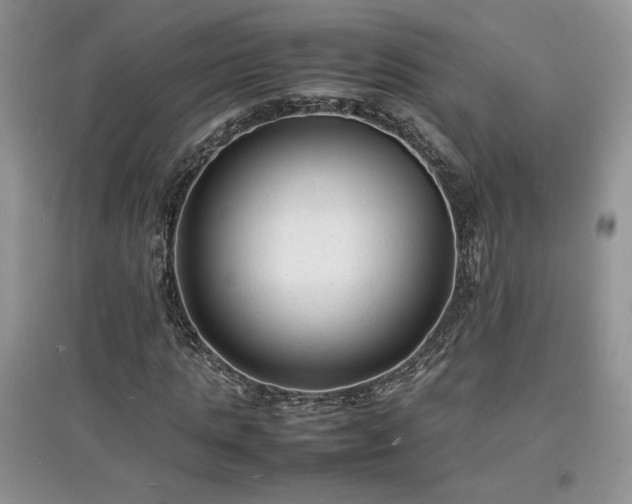 X0000097620821200803071508