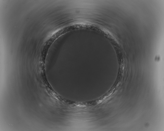 X0000097620822200803071508