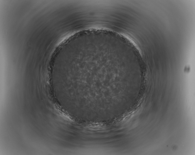 X0000097620823200803071508