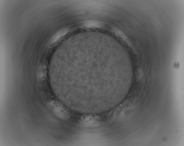 X0000097620824200803071508