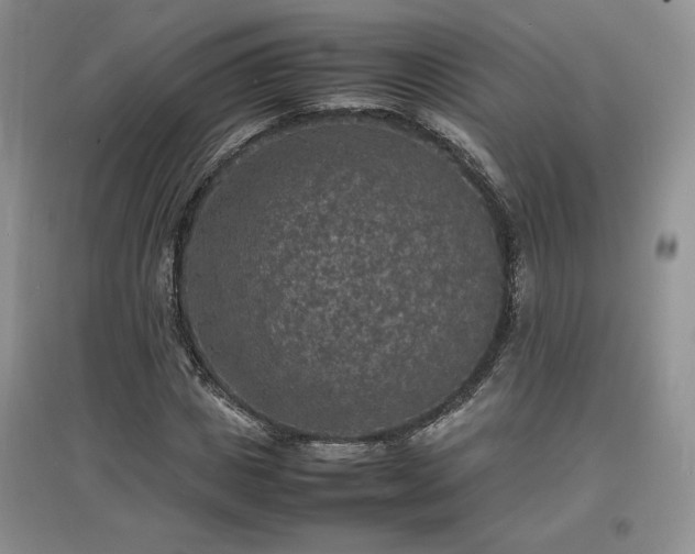 X0000097620825200803071508