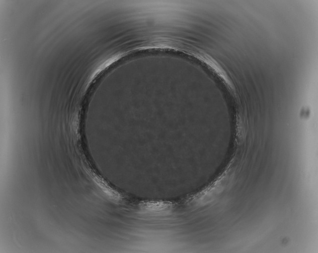 X0000097620826200803071508