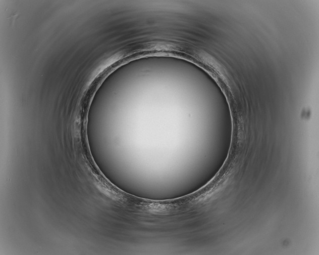 X0000097620827200803071508